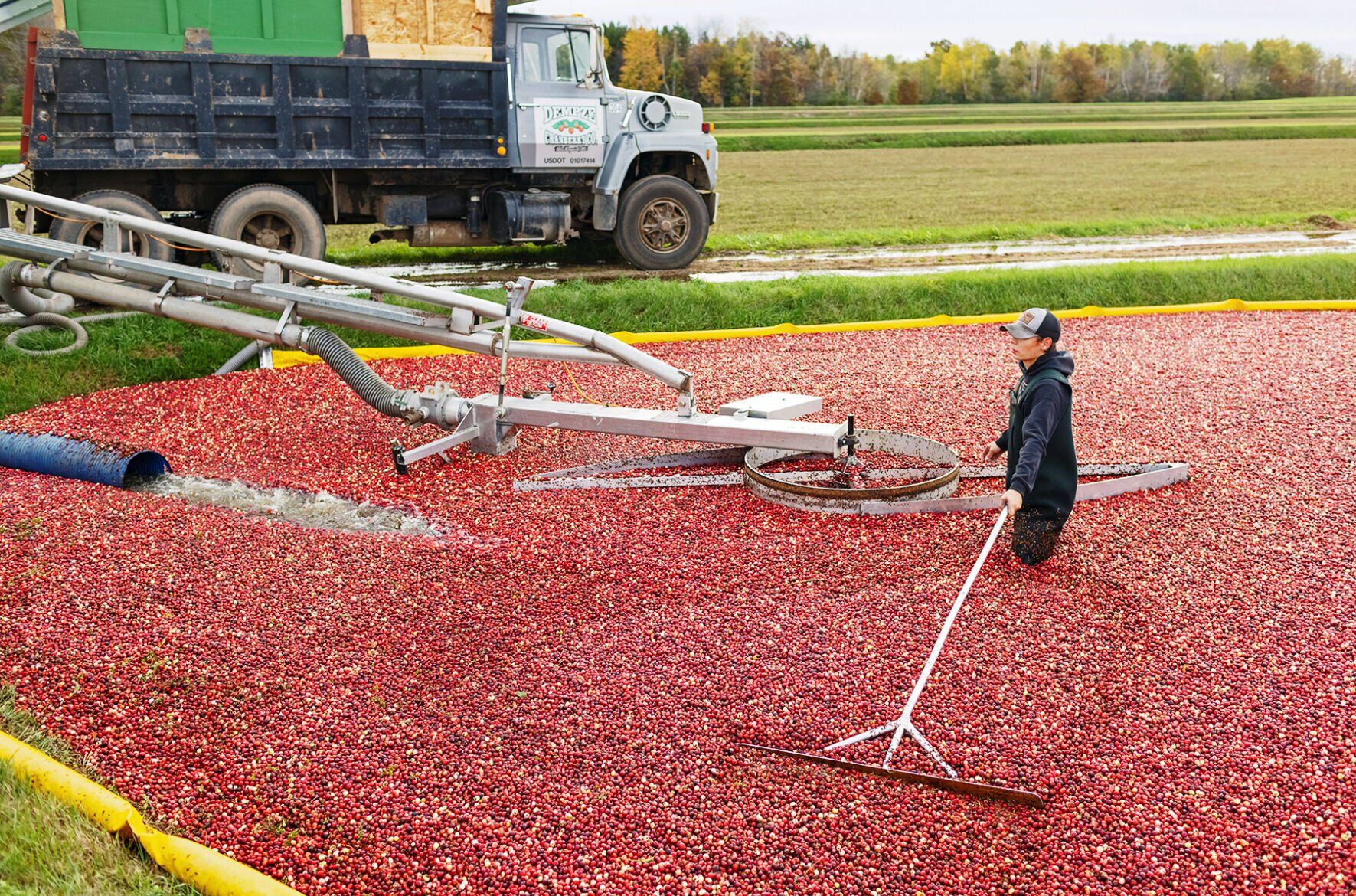 Rooted in Red bog